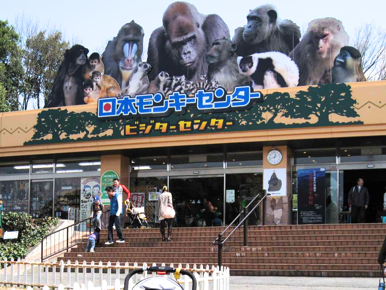 日本モンキーセンター
